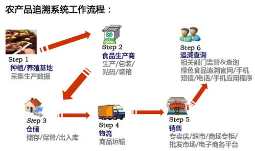 筑牢食品安全防线 软硬件协同研发的策略与路径